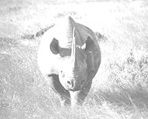 image011.jpg