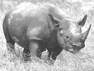 image018.jpg