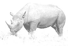 image020.jpg