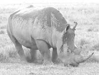 image024.jpg
