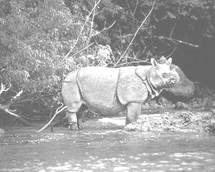 image046.jpg