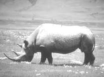 image050.jpg