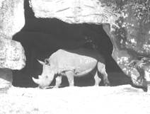 image066.jpg