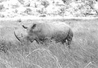 image070.jpg