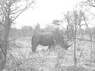 image078.jpg