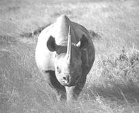 image081.jpg