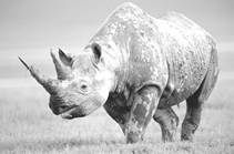 image085.jpg
