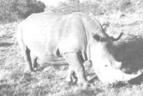 image093.jpg